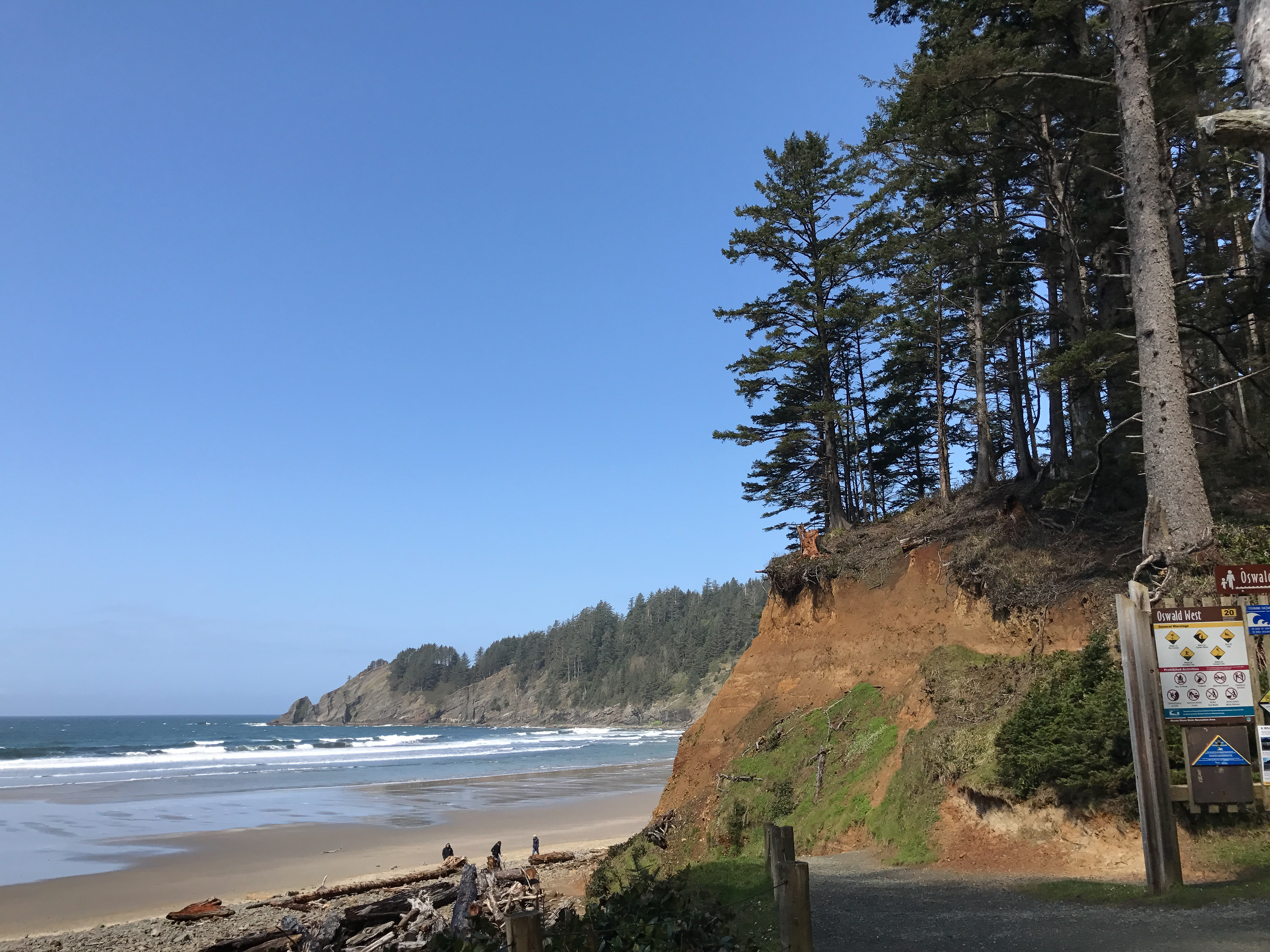 The Best One-Mile Hike in Oregon – Short Sand Beach Trail Oswald West State Park