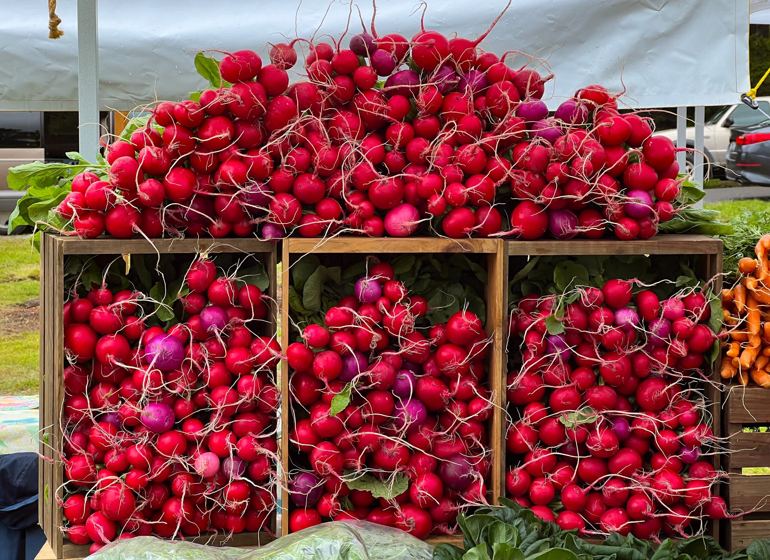 Manzanita Farmers Market 
