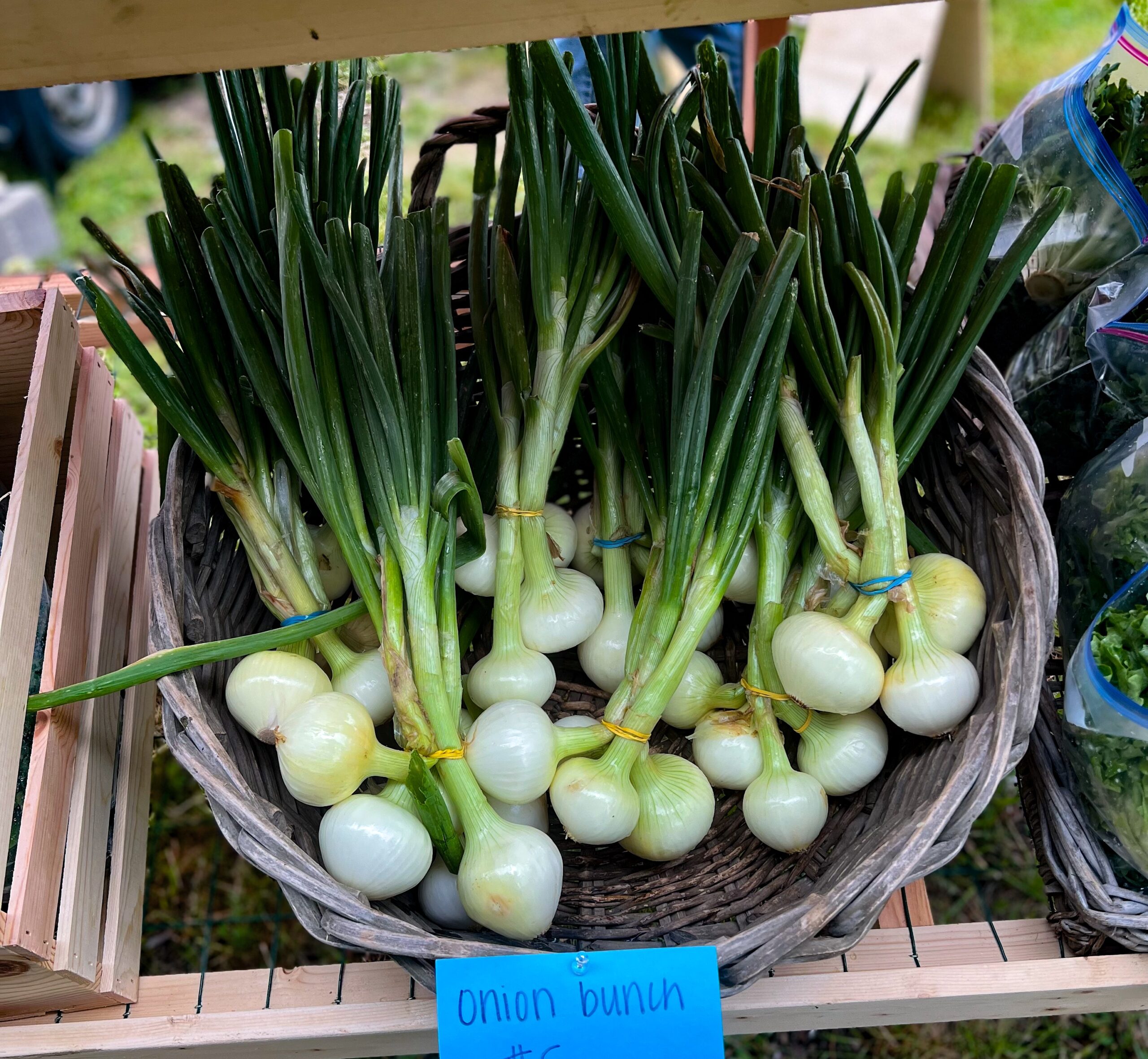 Manzanita Farmers Market 