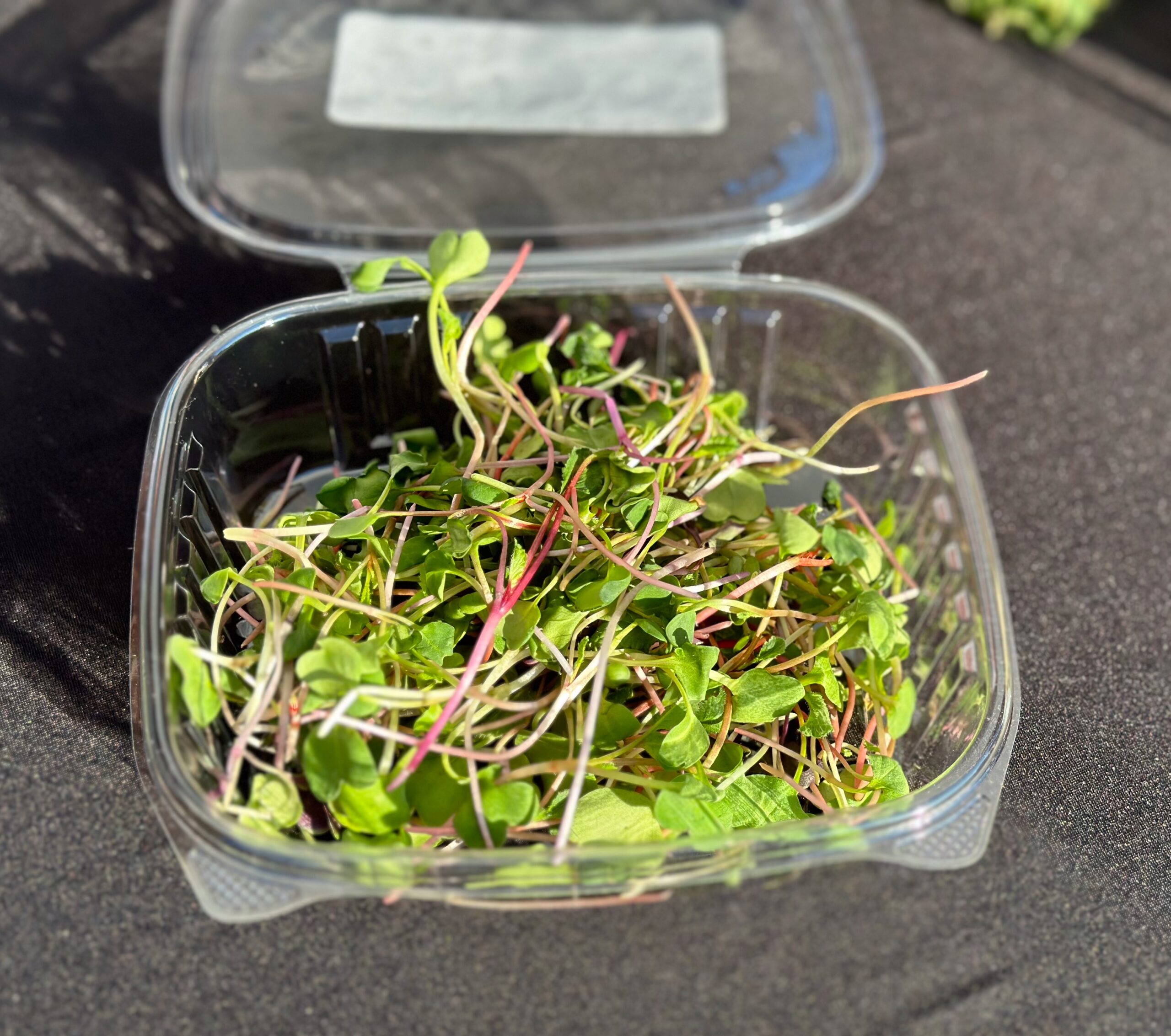 Manzanita Farmers Market 