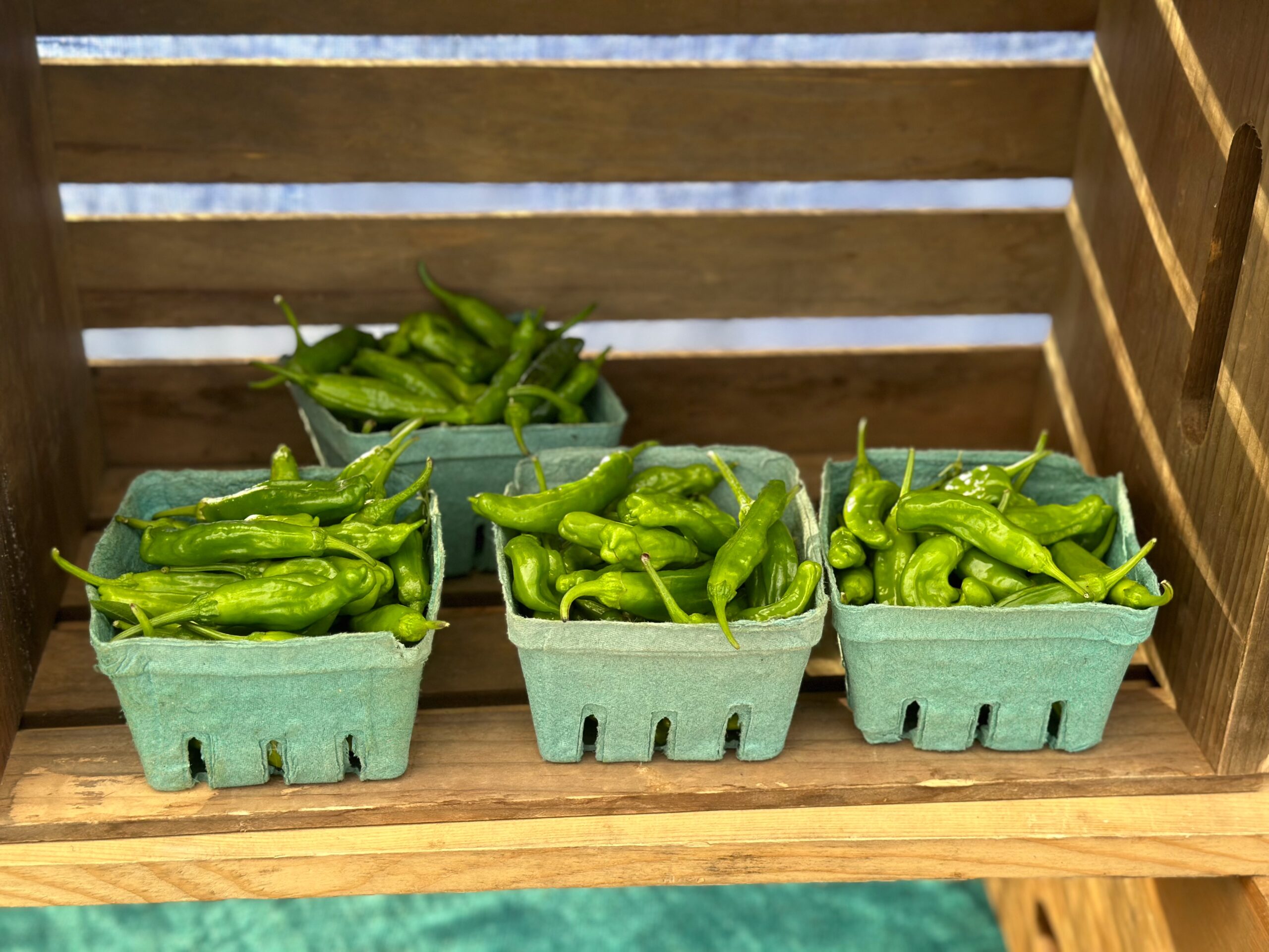 Manzanita Farmers Market 