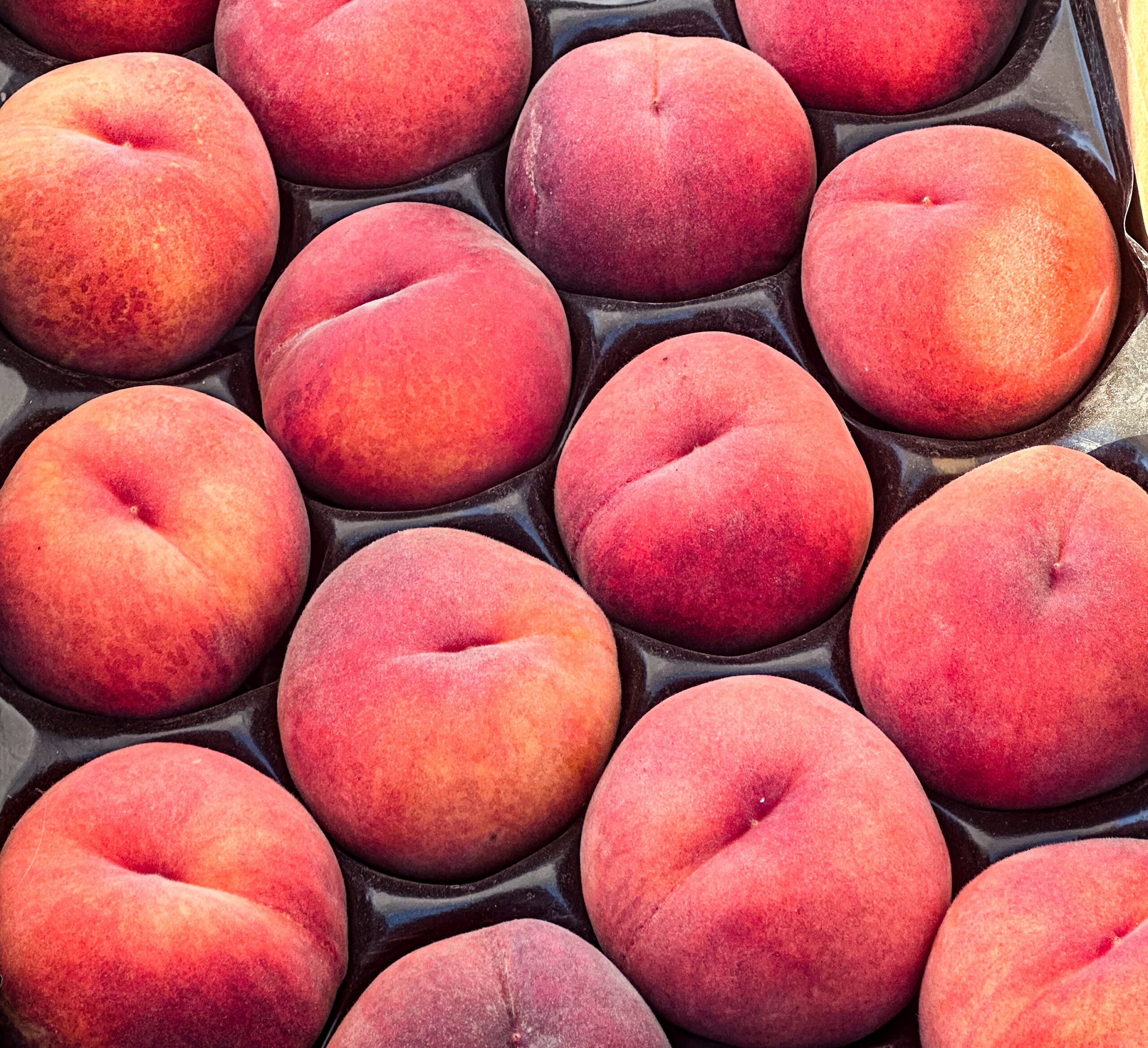Manzanita Farmers Market 