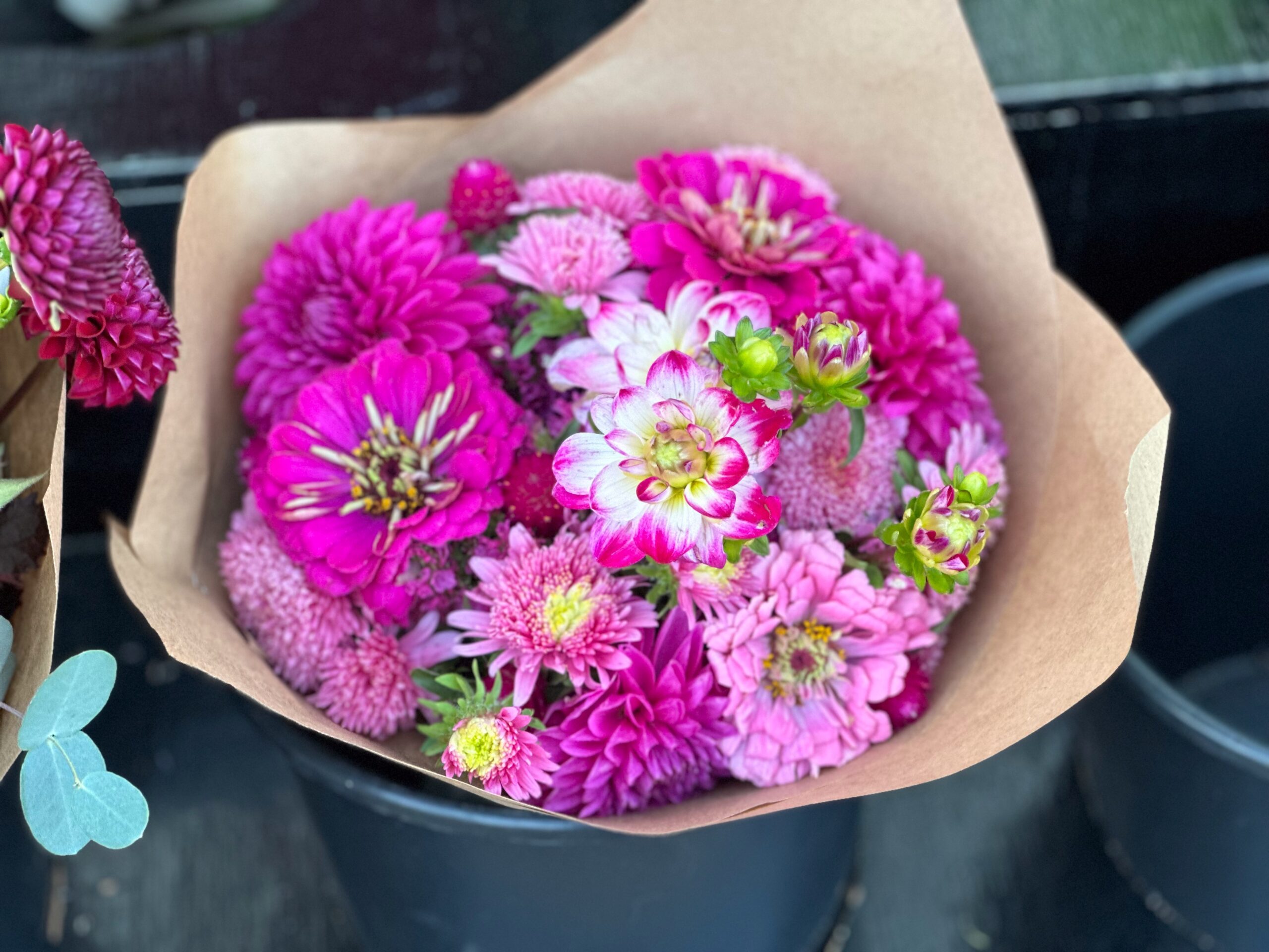 Manzanita Farmers Market 