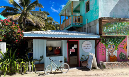 The Belize Chocolate Company Store  – When You Travel To the Island of Caye Caulker in Belize